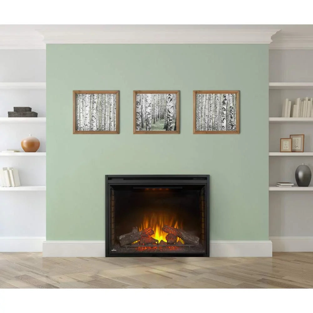 Built-in in. 40 Electric Firebox Insert Napoleon