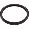 Zodiac, Gasket, LED Pool Light, RGBW Silicone Light