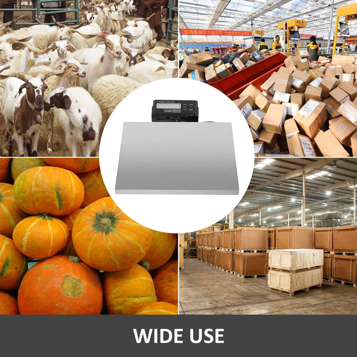 Vet Digital 400lbs Llama 14.96x11.81 Livestock Lcd Scale Vet Livestock Inch