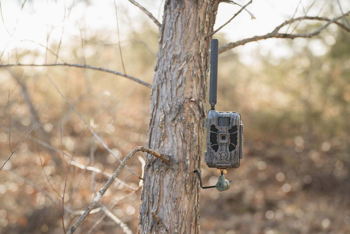 40MP Glo Cam Stealth Trail No Disceptor Cellular Hi-Resolution Camera