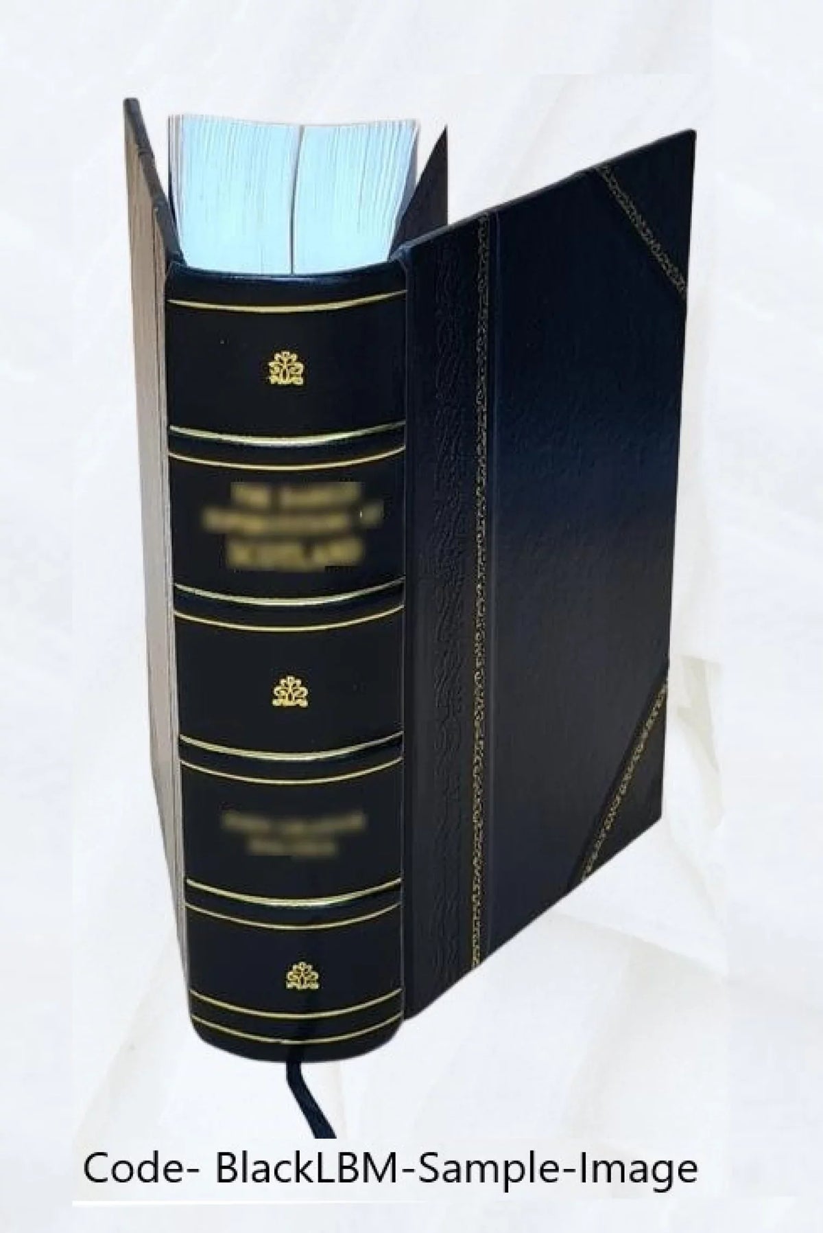news. research Bound] Volume Highway nos.30-41 [Leather 1974