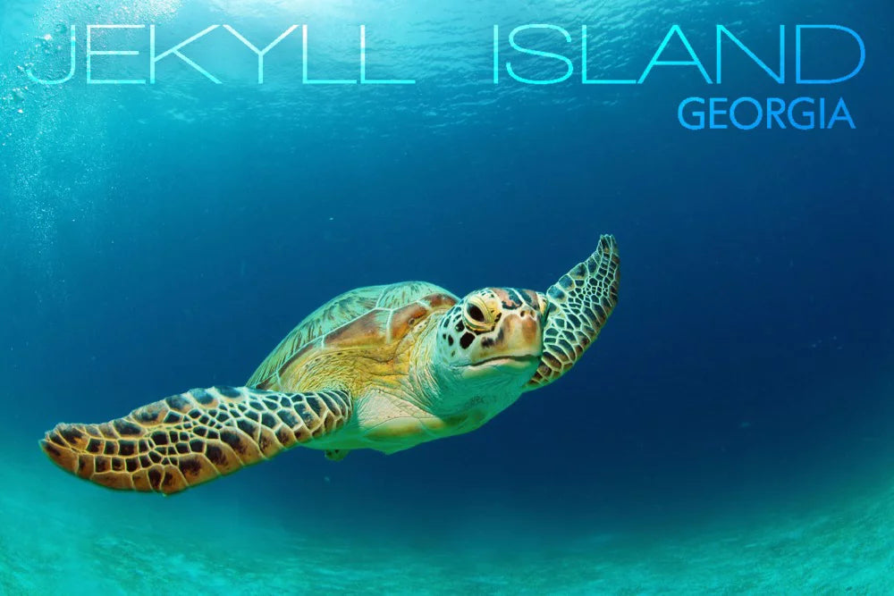 Adults Made Family, Puzzle inches, 500 USA) Sea Piece Jekyll Turtle Georgia, and (19x27 for Premium Island, Jigsaw in