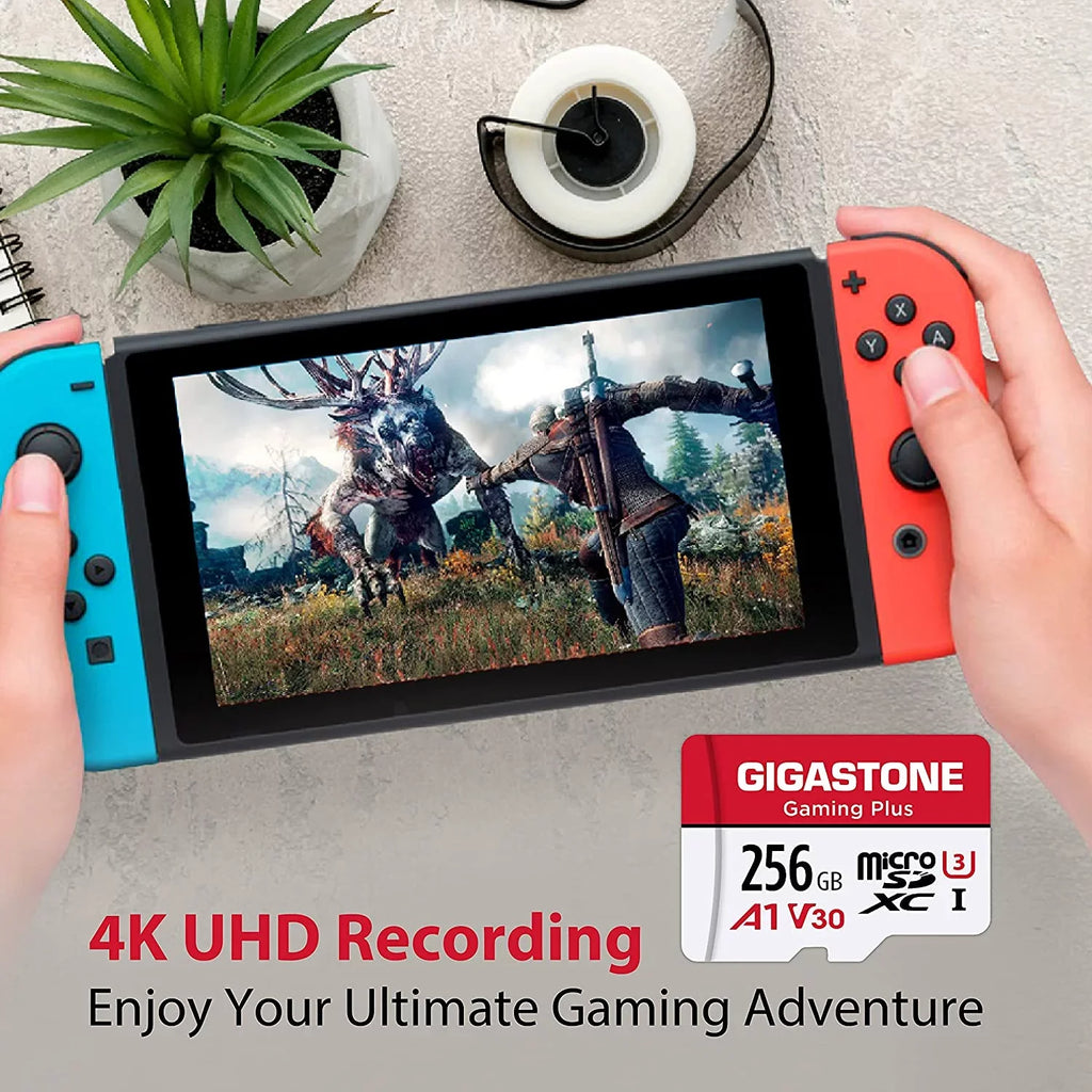 , 256GB Cam, Nintendo-Switch, Wyze, Gaming ro roSDXC Plus, SD Memory Dash [Giga] for GoPro,