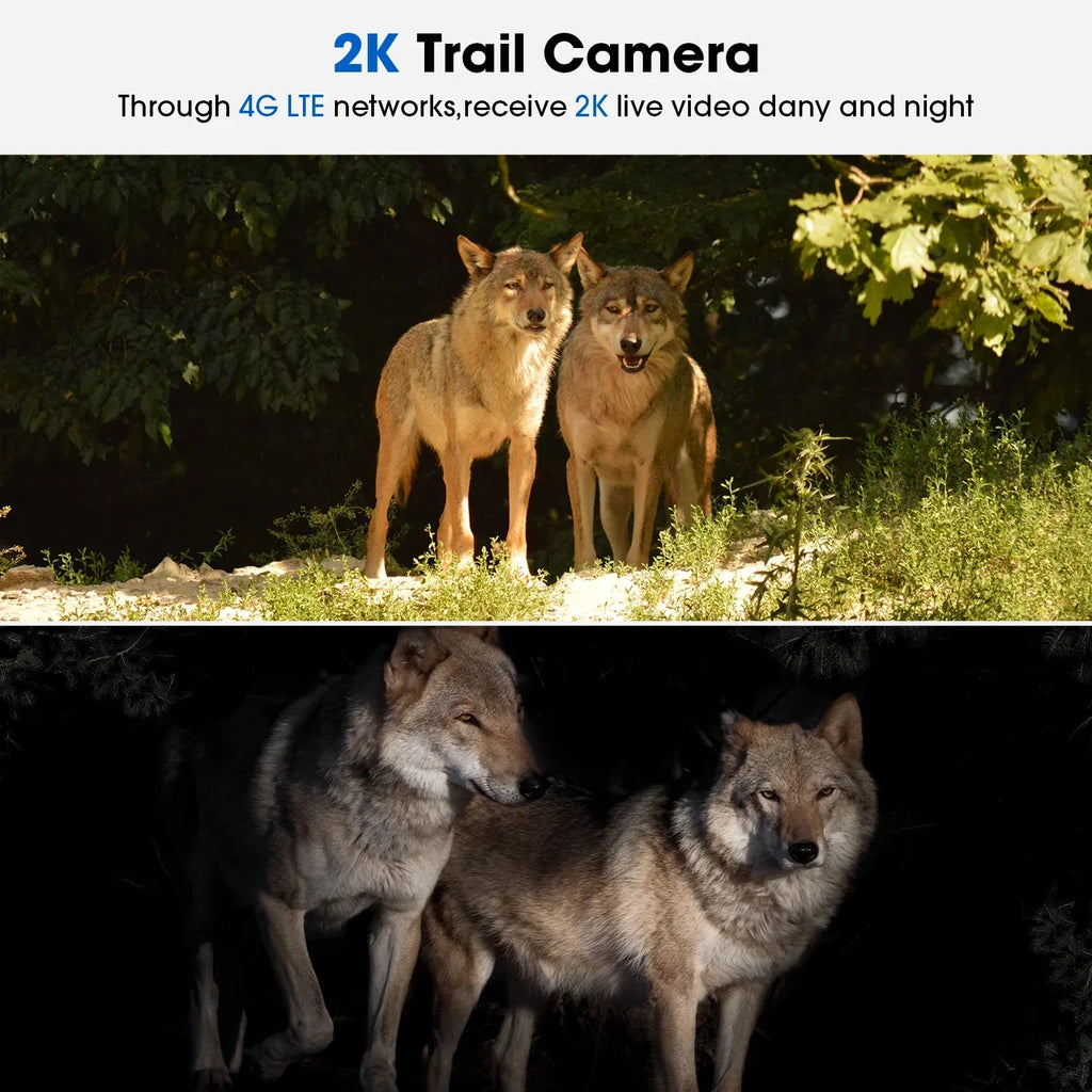 Trail View, Motion, Wireless Live Game with 90°Tilt, LTE, 360°Pan Camera Night Vision, Card Cellular 4G PIR Waterproof, Cloud Solar WiFi Storage, No 2K Camera with &SD Cam Security Hunting CAMPARK SIM