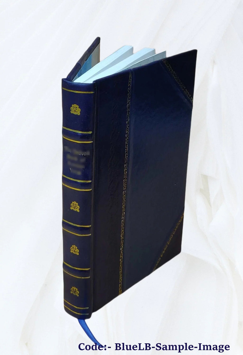 Silchester's Volume Bound] 2 [Leather Squire 1873 whim