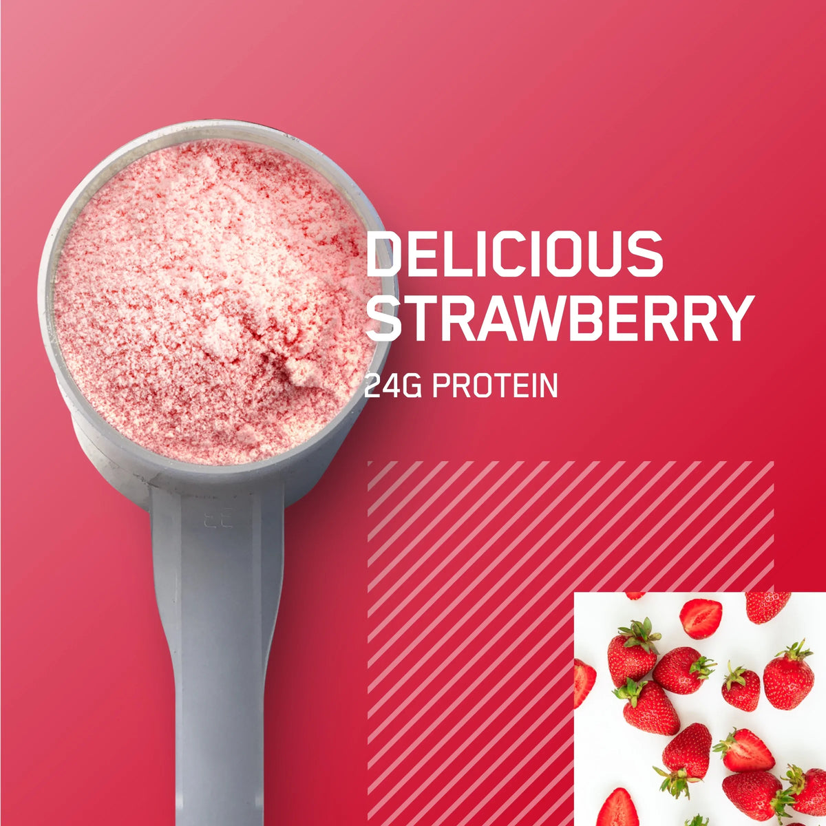 Whey Delicious lb, Servings Gold Strawberry, Powder, Standard 100% 73 Nutrition, Protein Optimum 5