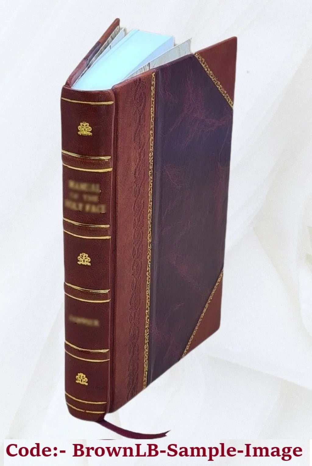 Silchester's Volume Bound] 2 [Leather Squire 1873 whim