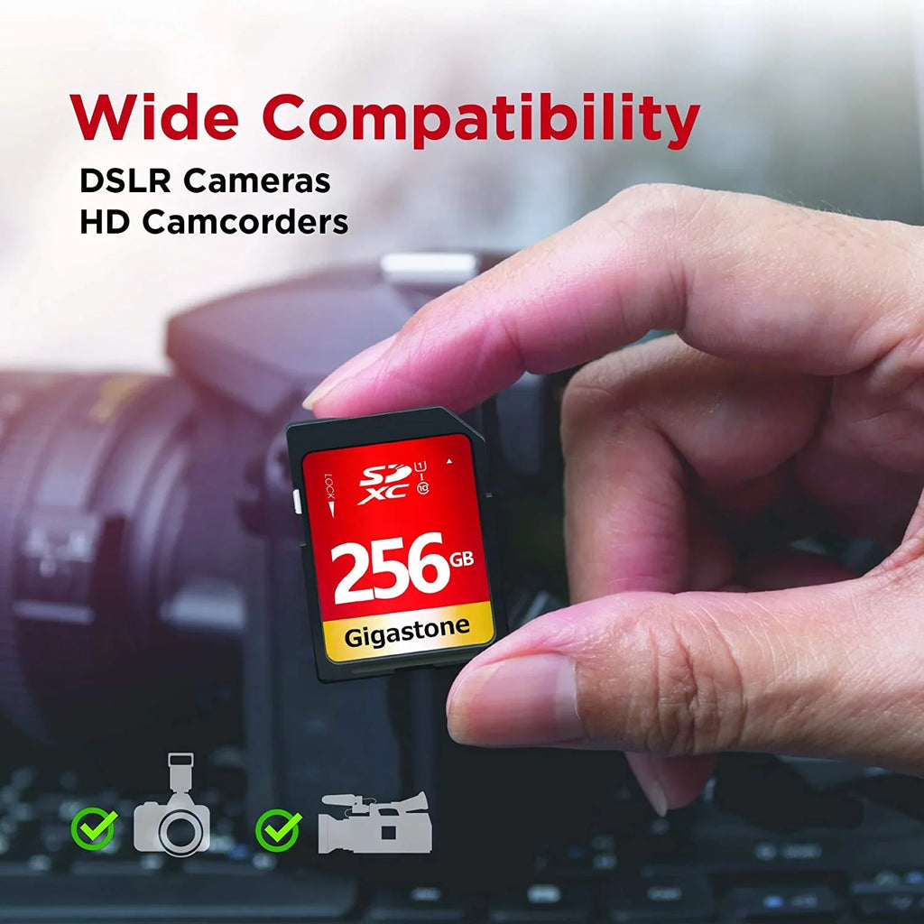 Card Panasonic Canon 10 Card SD Camera 256GB Class SDXC Video Kodak High Digital Gigastone Memory HD Speed U1 Full Pentax Nikon Olympus UHS-I