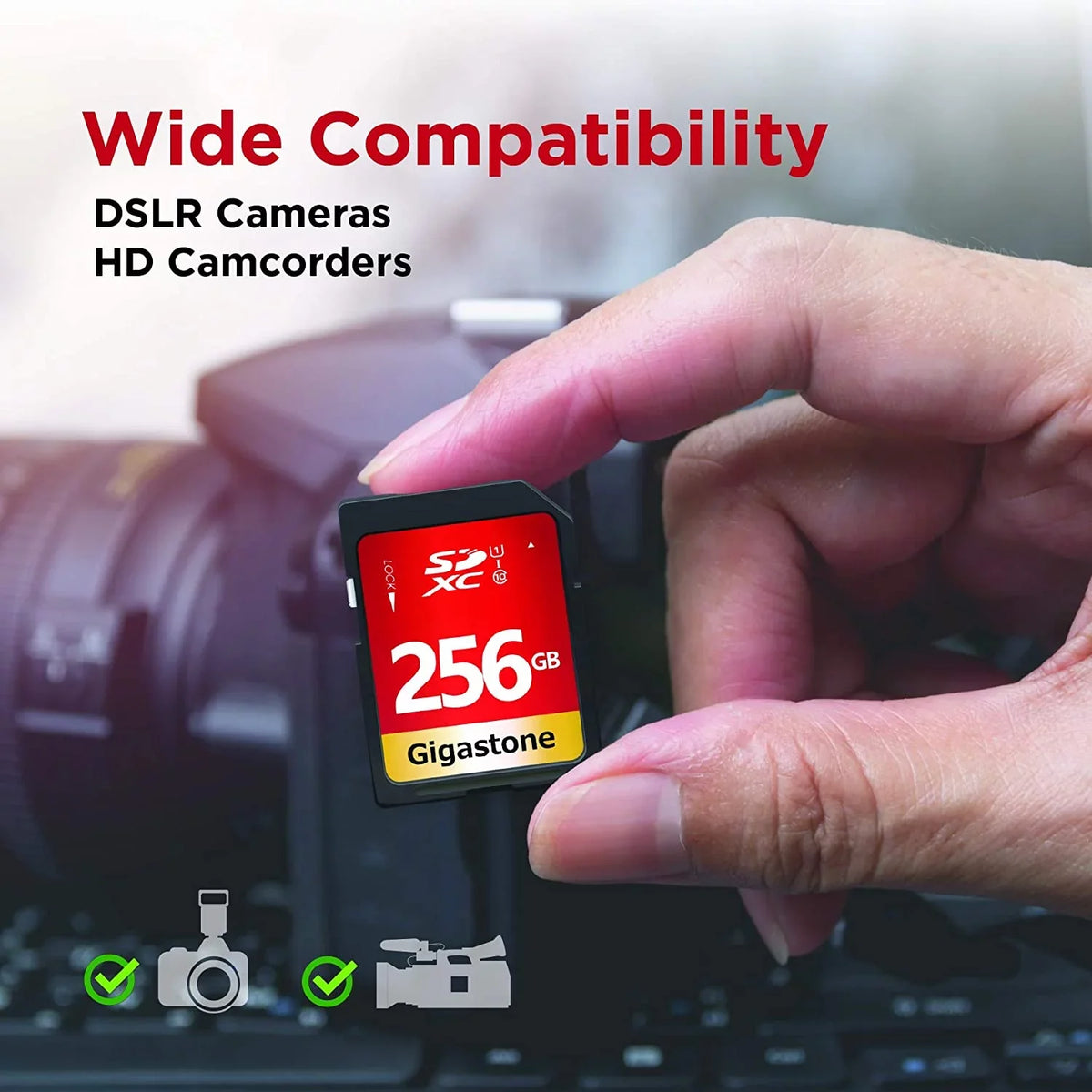Card Panasonic Canon 10 Card SD Camera 256GB Class SDXC Video Kodak High Digital Gigastone Memory HD Speed U1 Full Pentax Nikon Olympus UHS-I