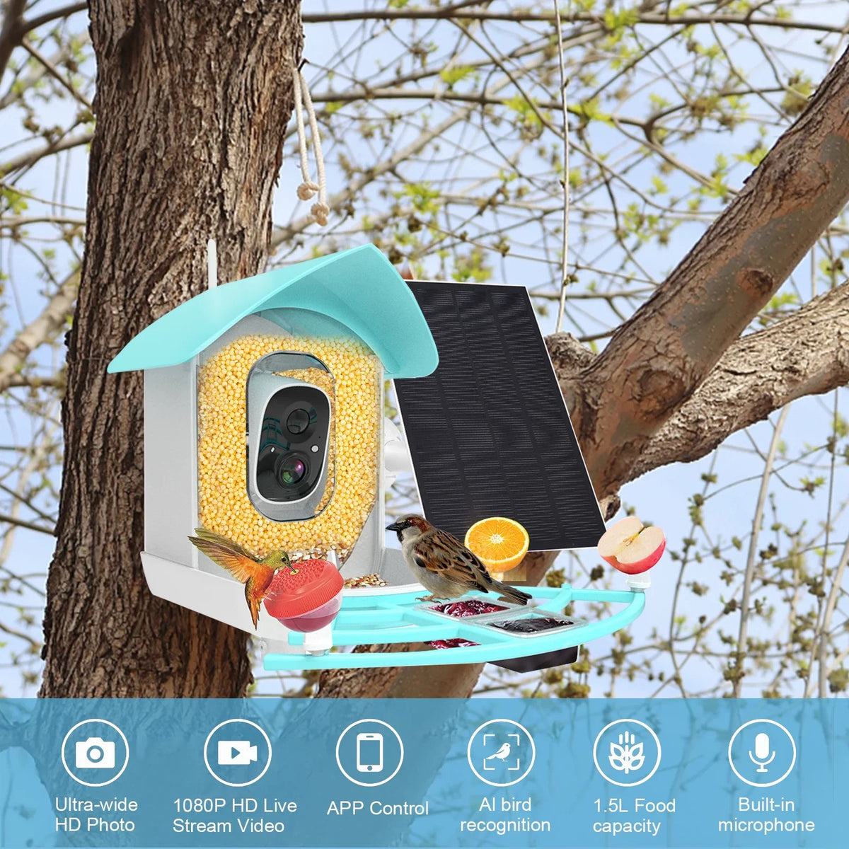 RUSUO Species WiFi Camera Proof Feeder Wireless PIR feeders Squirrel camera,Video Powered Vico 1080P Resolution Camera Wi-Fi Camera Solar Camera App AI 1080P Pristin Video