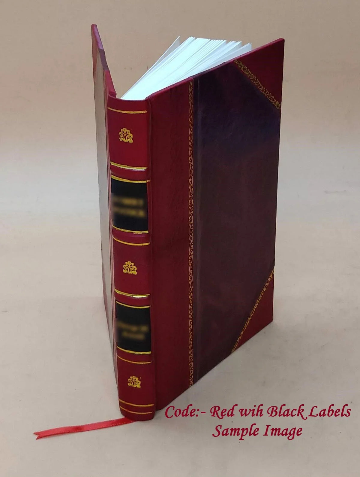 1917 BOUND] 1917 [LEATHER Insights Volume Sights and