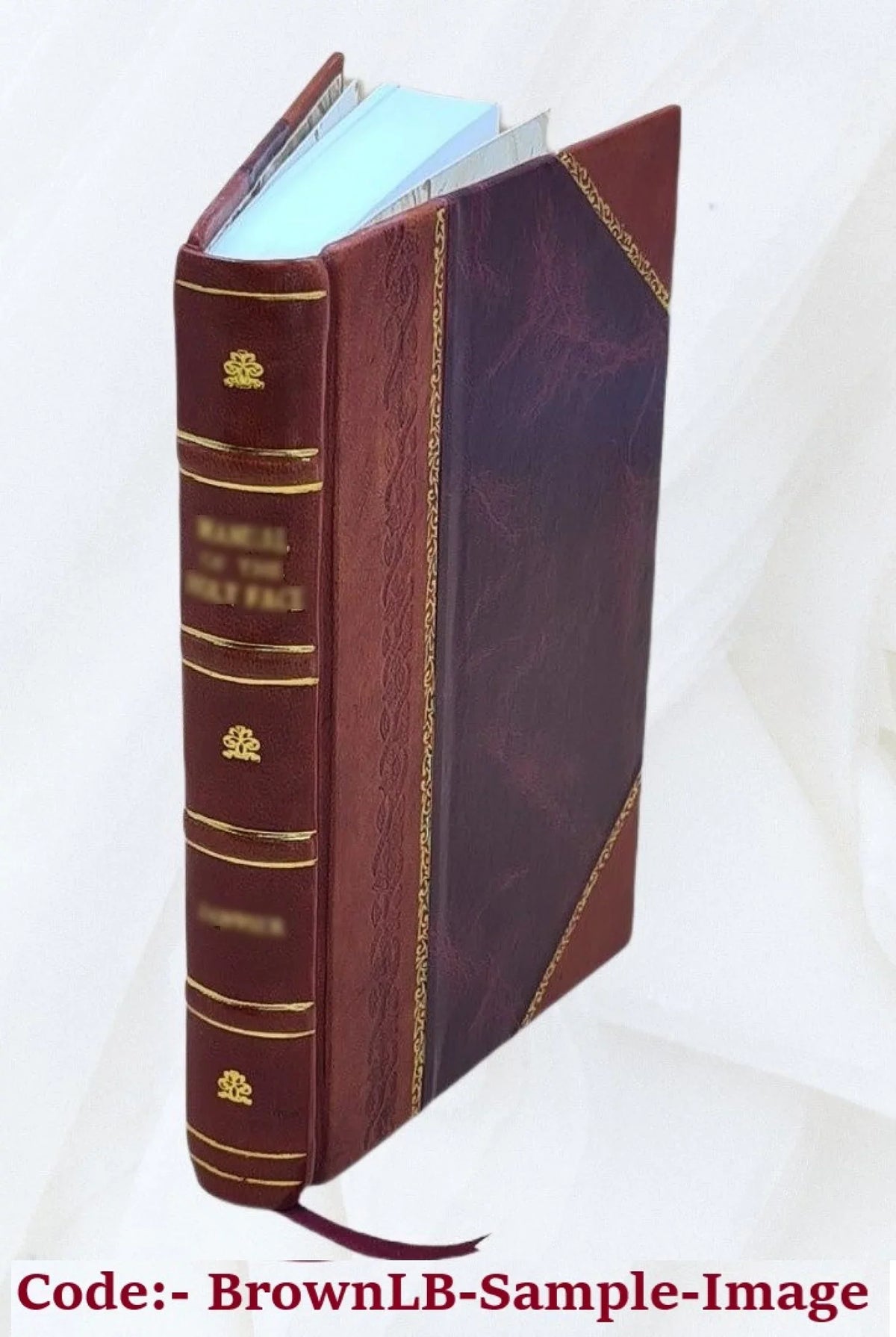 studio Prolegomeni pratico Val. clinici allo Luigi teoretica Bound] della medicina per Brera [Leather servire cavaliere del 1838 d'introduzione