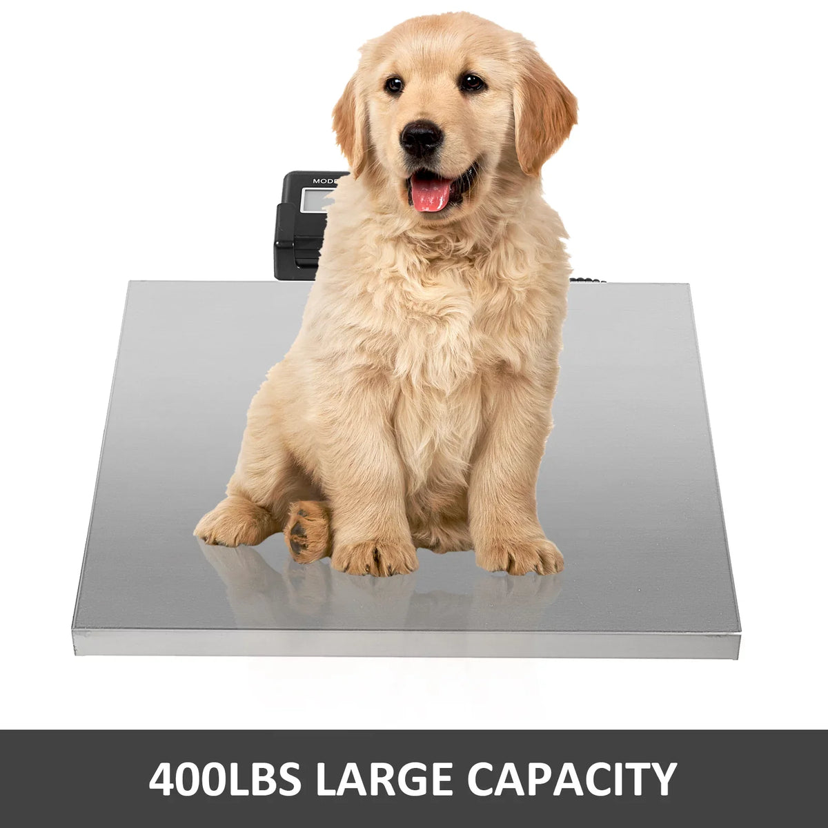 Vet Digital 400lbs Llama 14.96x11.81 Livestock Lcd Scale Vet Livestock Inch