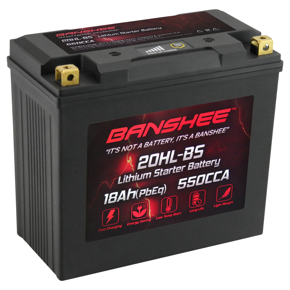 Battery YTX20L-BS with Banshee Sea-Doo 2016 Motorsports to LiFePO4 Compatible 2016 Pro Wake 215