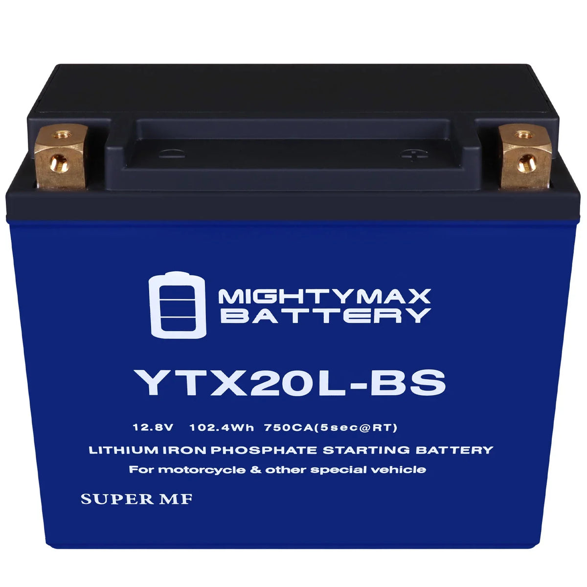 All RXP GTX Battery YTX20L-BS SeaDoo Lithium Replacement compatible with Models 94-07 4-TEZ,