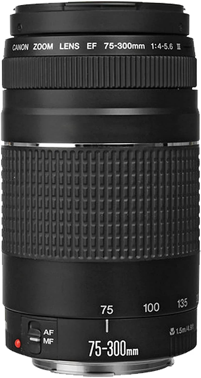 800D EOS 75-300mm 18-55mm + F/4-5.6 + Lens Tripod Camera Rebel 50mm Memory Zoom STM Lens + is f/1.8 + 40pc Canon Bundle Filters EF STM Lens 128GB T7i DSLR + Case + w/EF-S III F/4-5.6