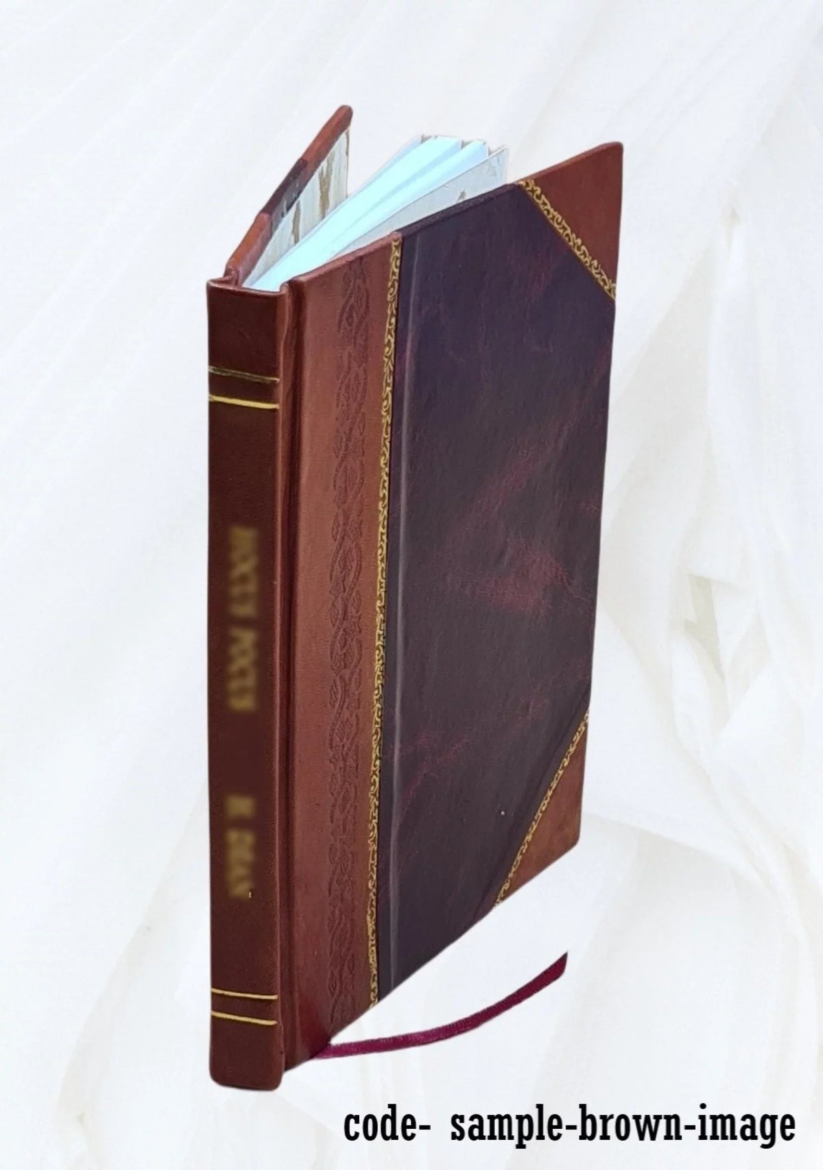 Provvidenza della [Leather Il Campione 1788 Bound] Divina