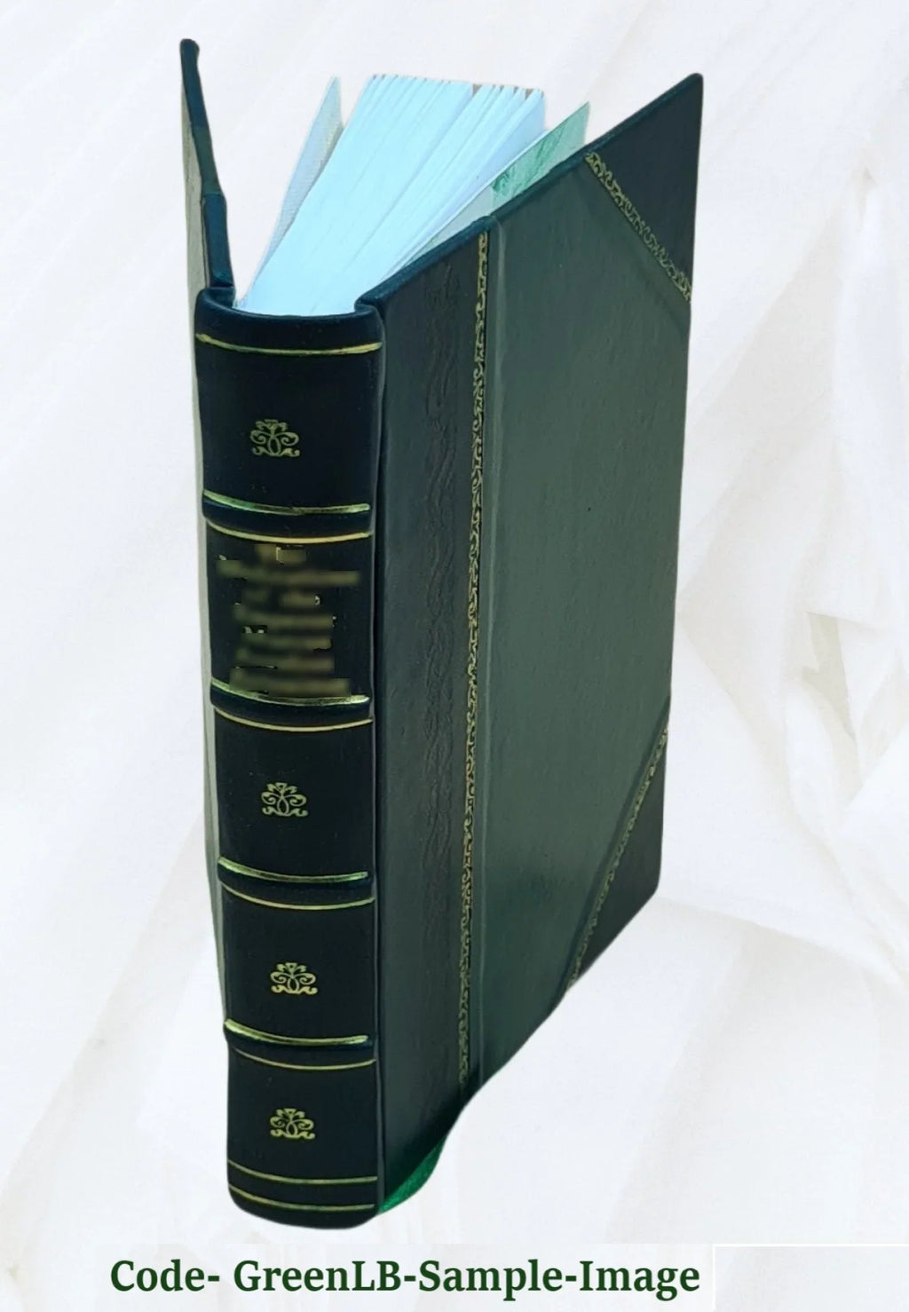 aureu[m] Commentarii Lucii [Leather Bound] 1504 a Beroaldo In Philippo asinü Apuleii. conditi