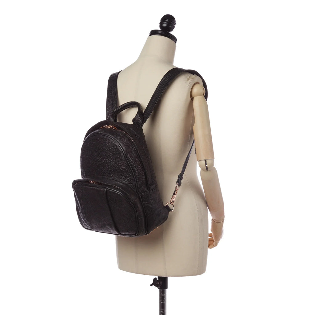Alexander Pre-Owned Leather (Good) Backpack Black Wang Calf Dumbo Unisex Authenticated