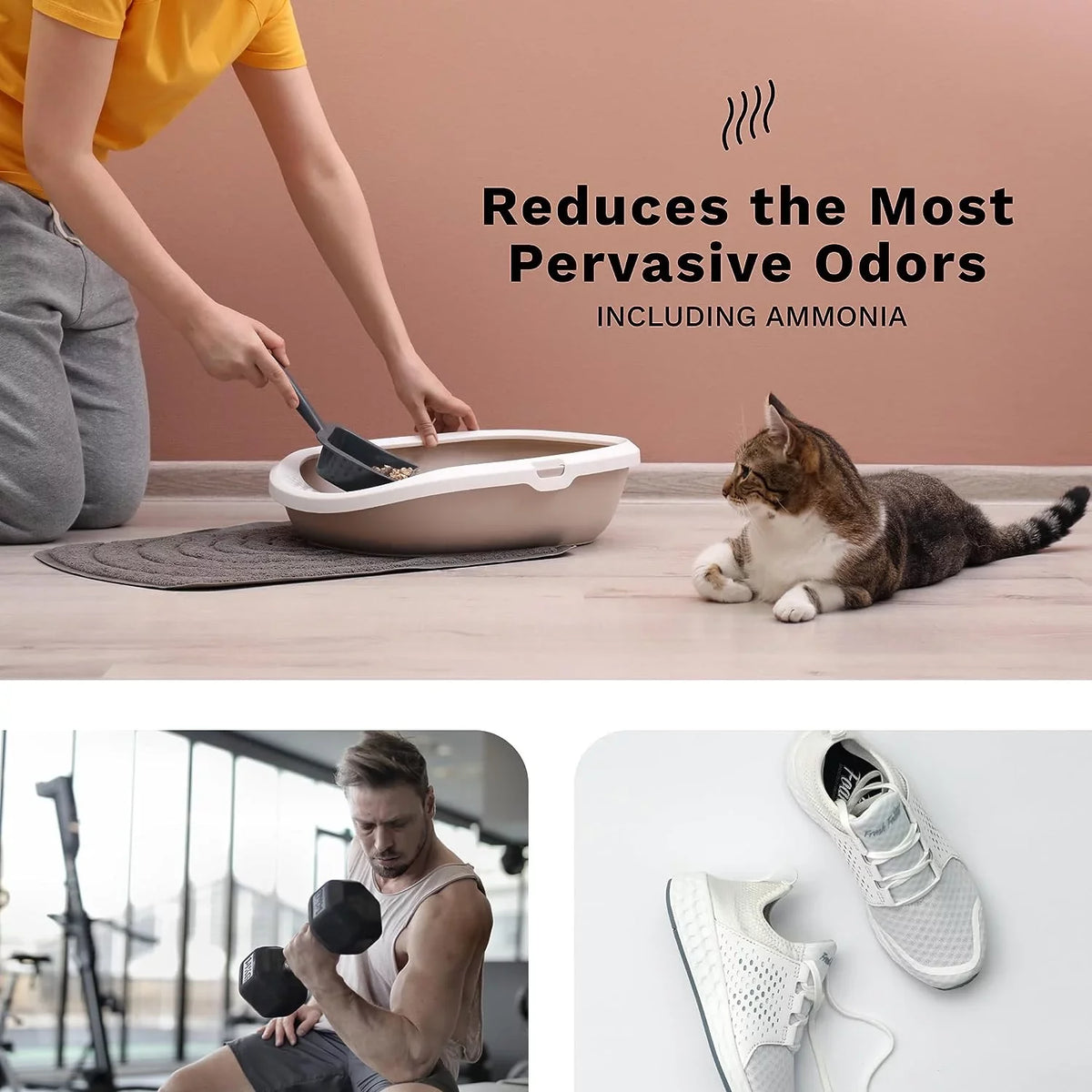 Surface Supplies - Purpose Germs Home Odor & Mold DH HOCL Cleaner Cleaning at | of Aaira 99.9% Generator Create Lifelabs | Household Pets Eliminates Multi Smoking Disinfectant | | Eliminator Mildew