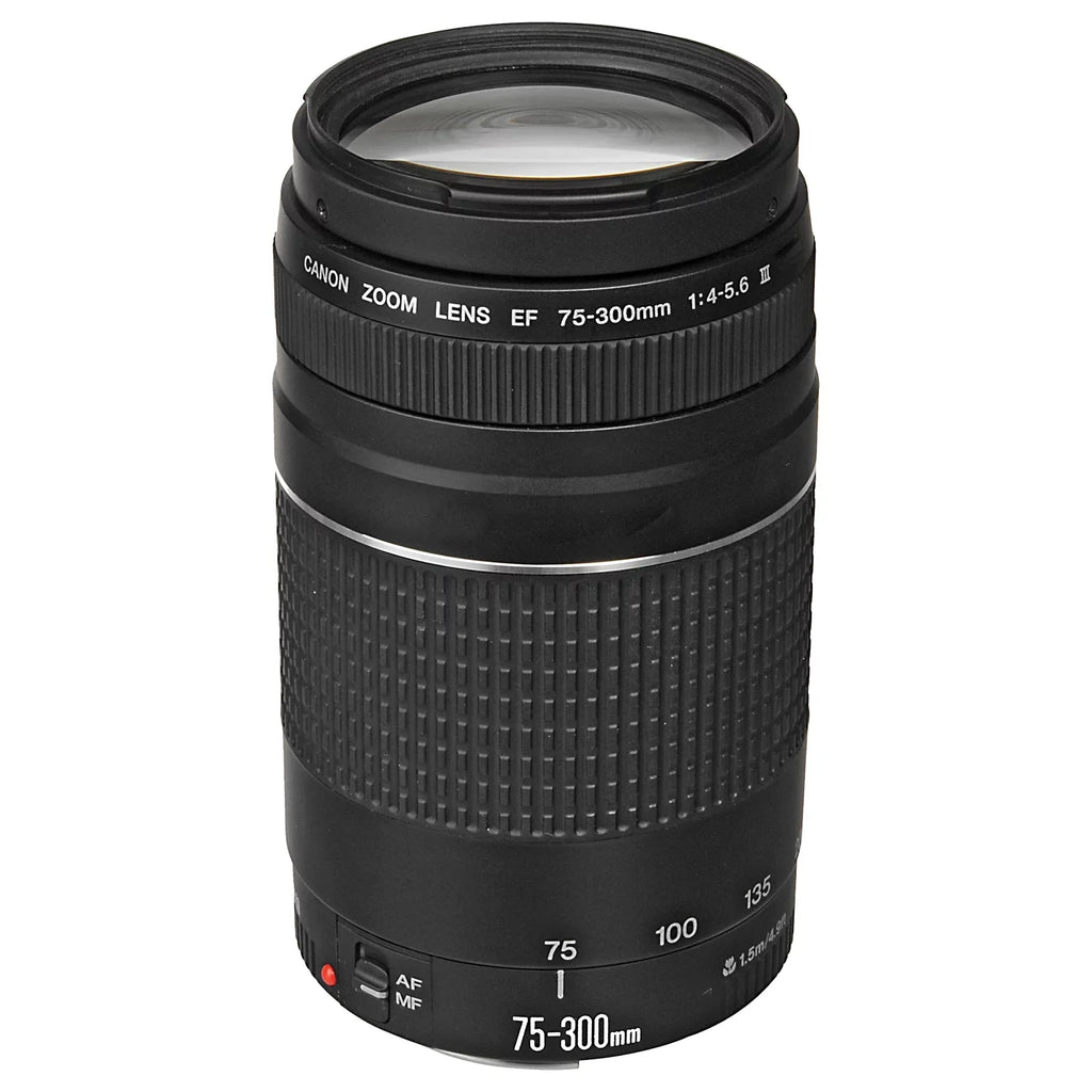 75-300mm Case Lens SanDisk Card Mark II + Mirrorless ZeeTech 128GB + Memory Bundle RF + Flash+ EOS 24-105mm EF Canon Camera with R6 + LED Accessory