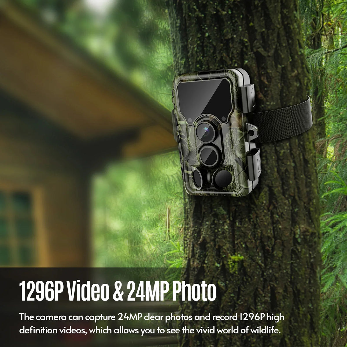 WifiM50 With WifiIp65 M50 Camera Video M50 Camera Camera 1296p Wifi 1296p Wifi 1296p Camera Camera,Radirus Camera InfraredVideo Wifi Waterproof 1296p